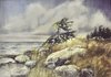 Gabriola on the Rocks - watercolour SOLD