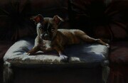 King of the Couch - pastel 11 X 14 approximately